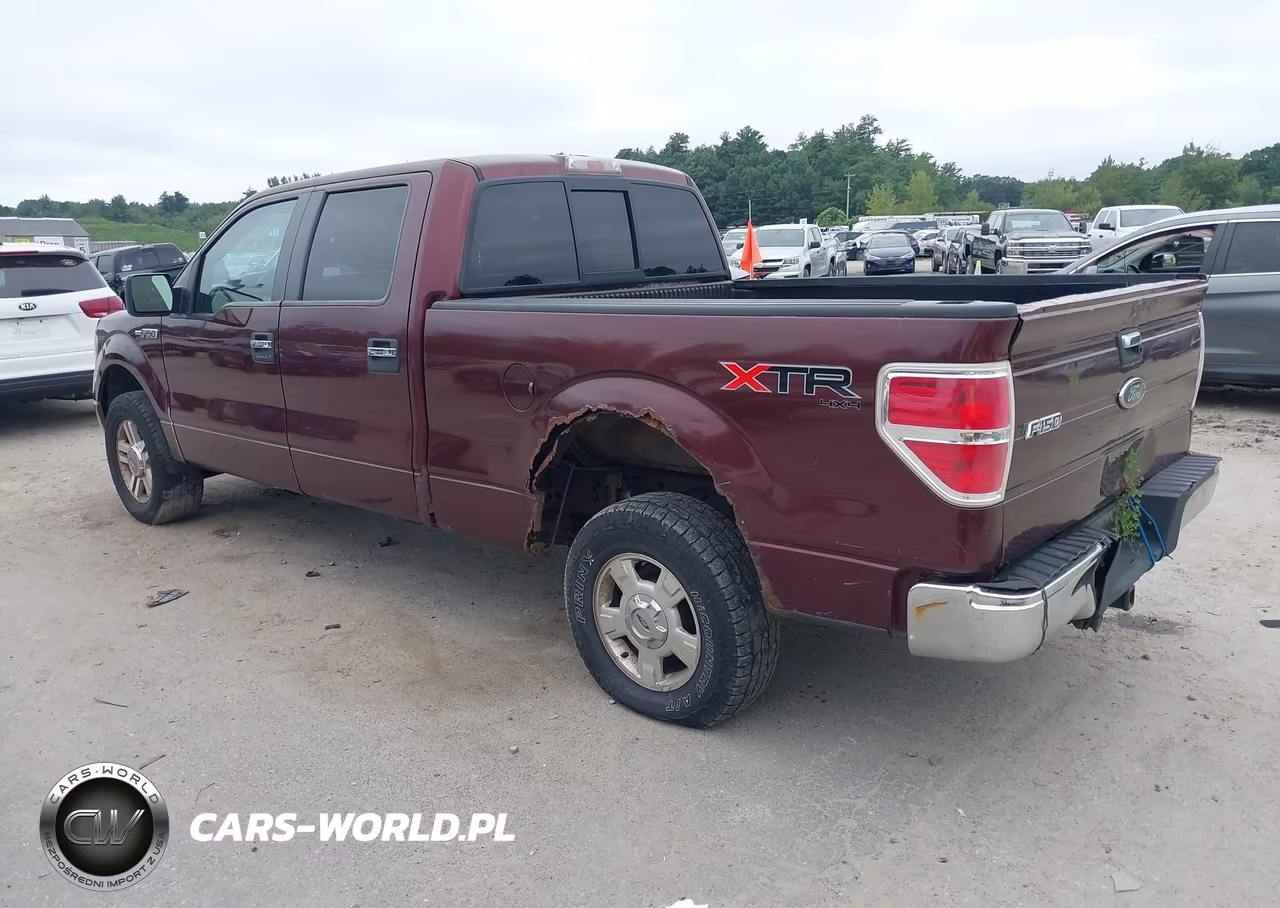 2010 Ford F-150 Fx4-Harley-Davidson-King Ranch-Lariat-Platinum-Xl-Xlt VIN:1FTFW1EV5AFC99762 - 3