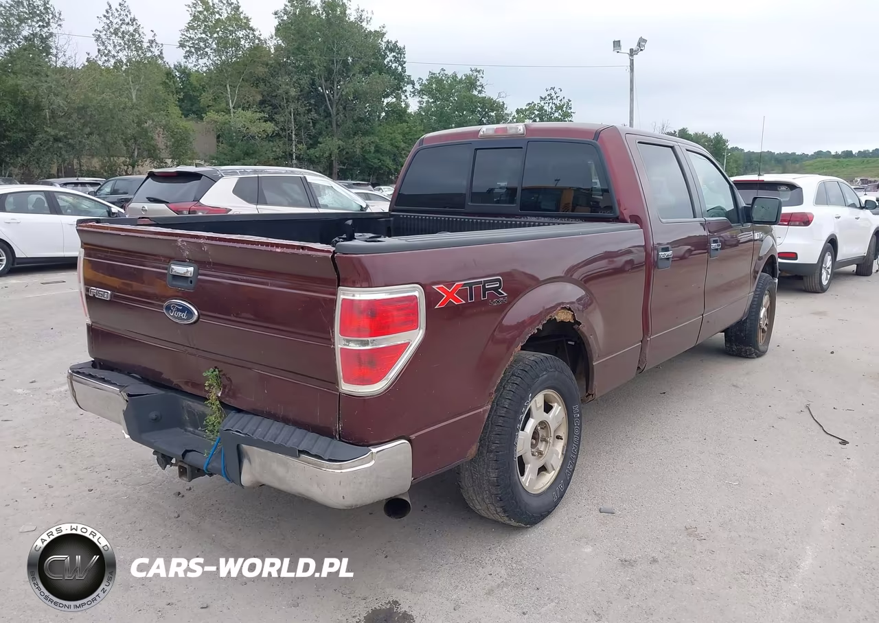 2010 Ford F-150 Fx4-Harley-Davidson-King Ranch-Lariat-Platinum-Xl-Xlt VIN:1FTFW1EV5AFC99762 - 4