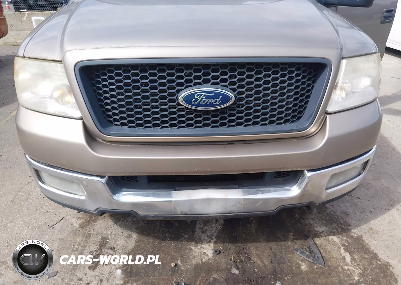 2005 Ford F-150 Lariat-Xl-Xlt VIN:1FTPX12565NA67365 - 6