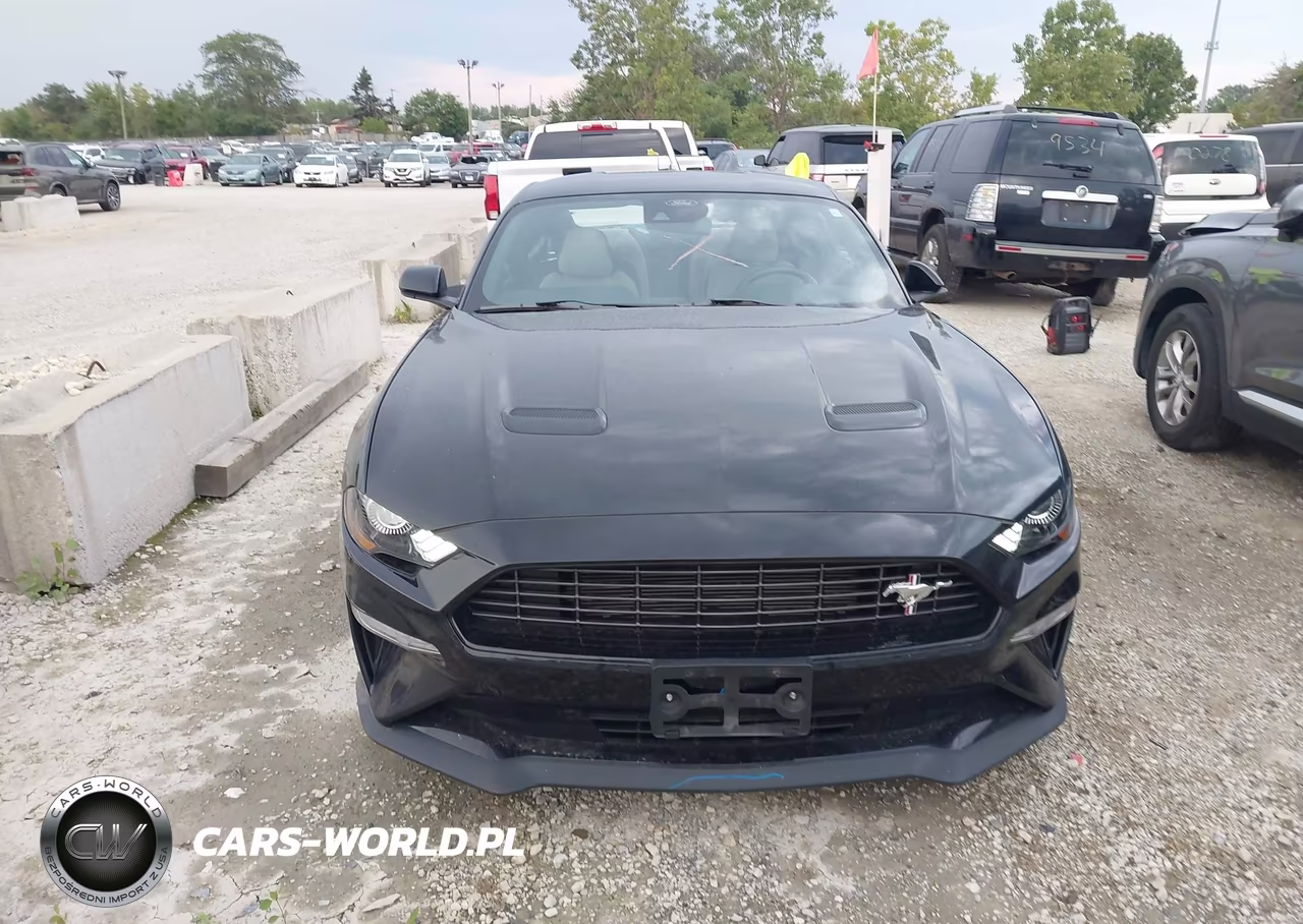2022 Ford Mustang Ecoboost Fastback VIN:1FA6P8TDXN5138342 - 13