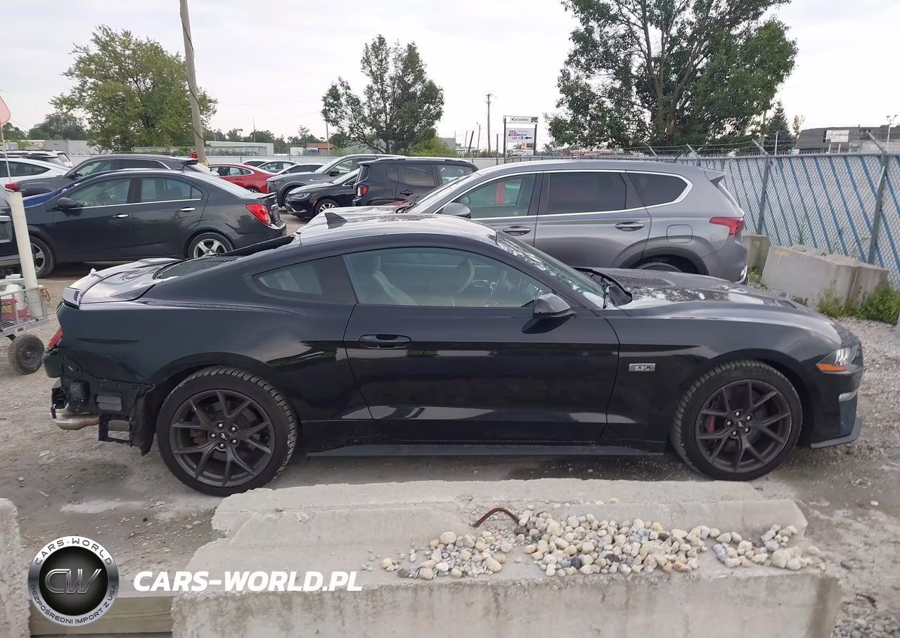 2022 Ford Mustang Ecoboost Fastback VIN:1FA6P8TDXN5138342 - 14