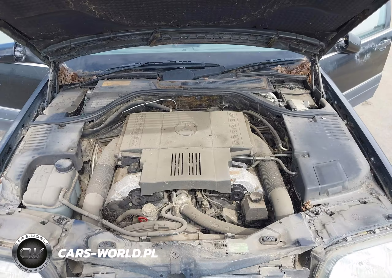 1996 Mercedes-Benz S 500 VIN:WDBGA51E8TA305150 - 10