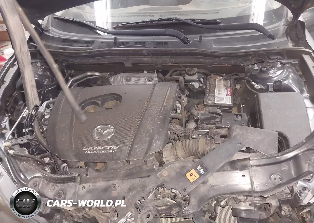 2014 Mazda Mazda3 I Sport VIN:JM1BM1K7XE1208739 - 10