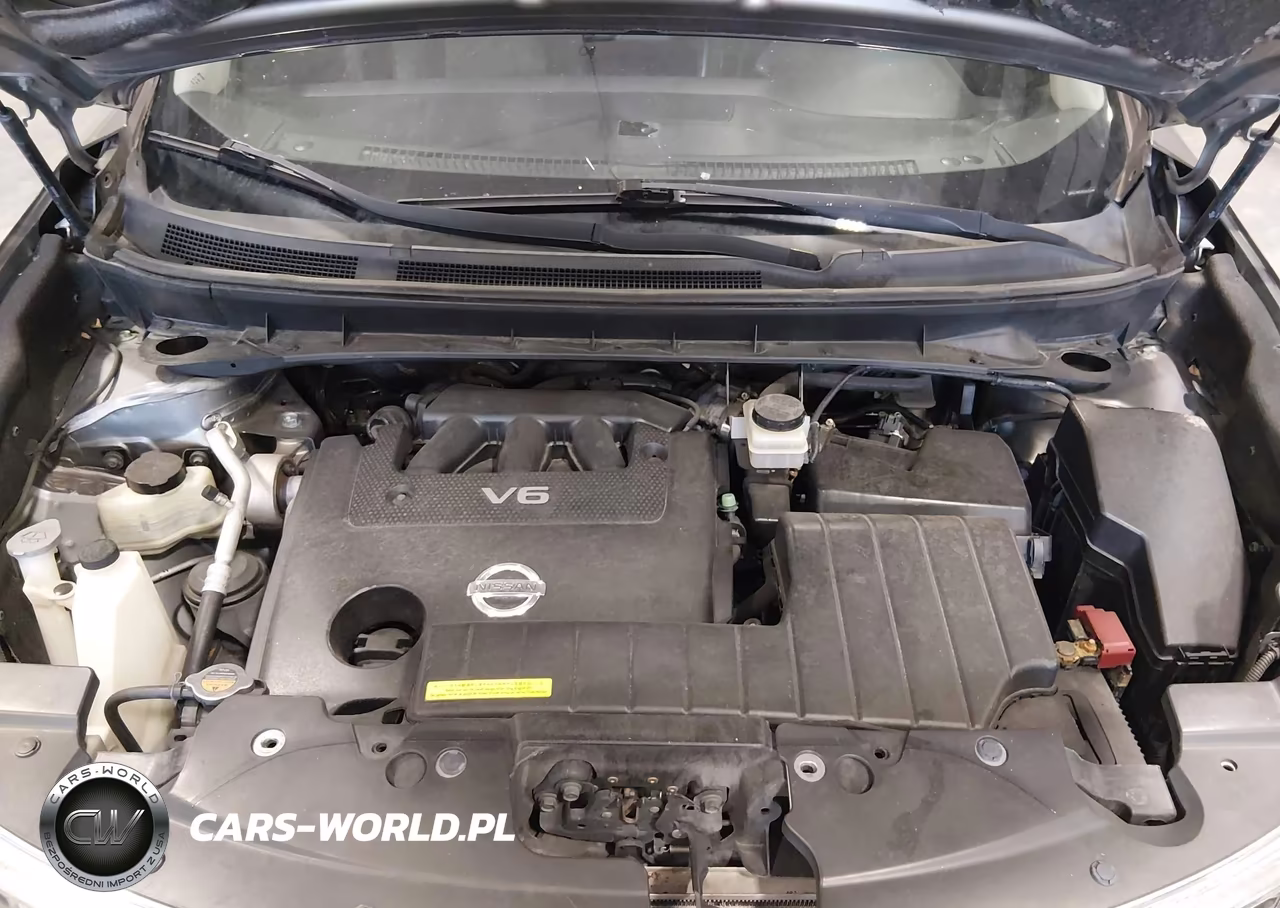 2014 Nissan Murano Le VIN:JN8AZ1MW0EW505270 - 10