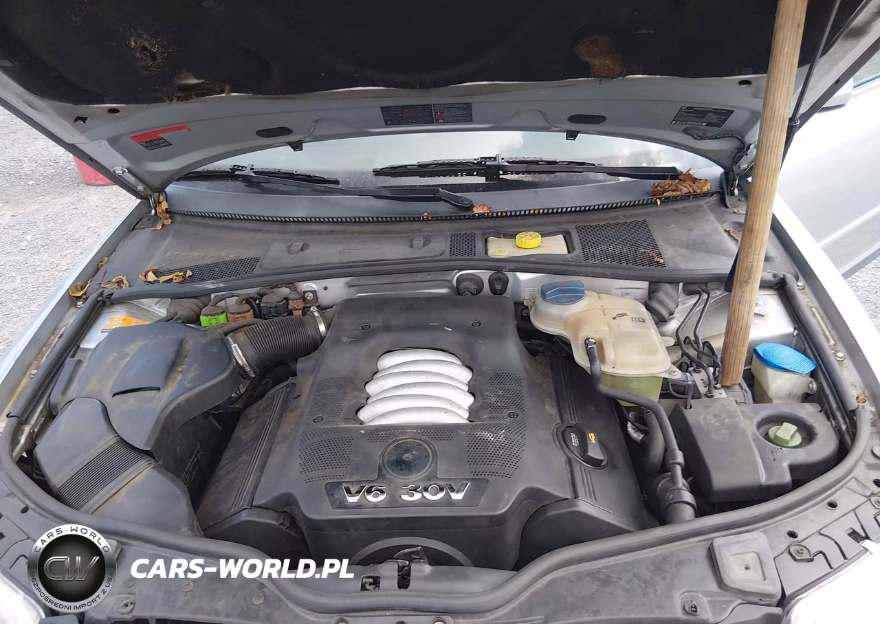 2003 Volkswagen Passat Glx VIN:WVWRH63B03P244856 - 10