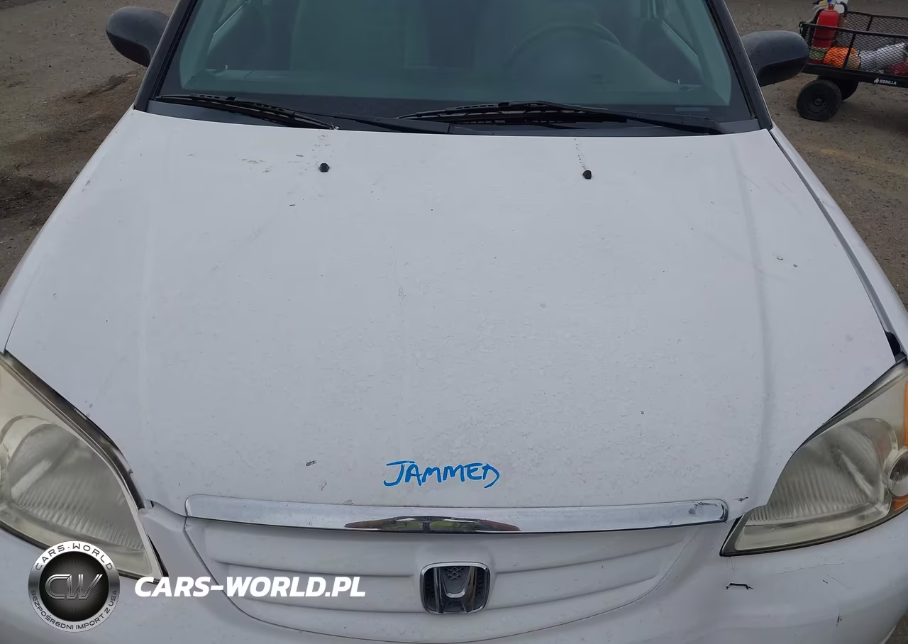 2003 Honda Civic Lx VIN:2HGES16543H624538 - 10