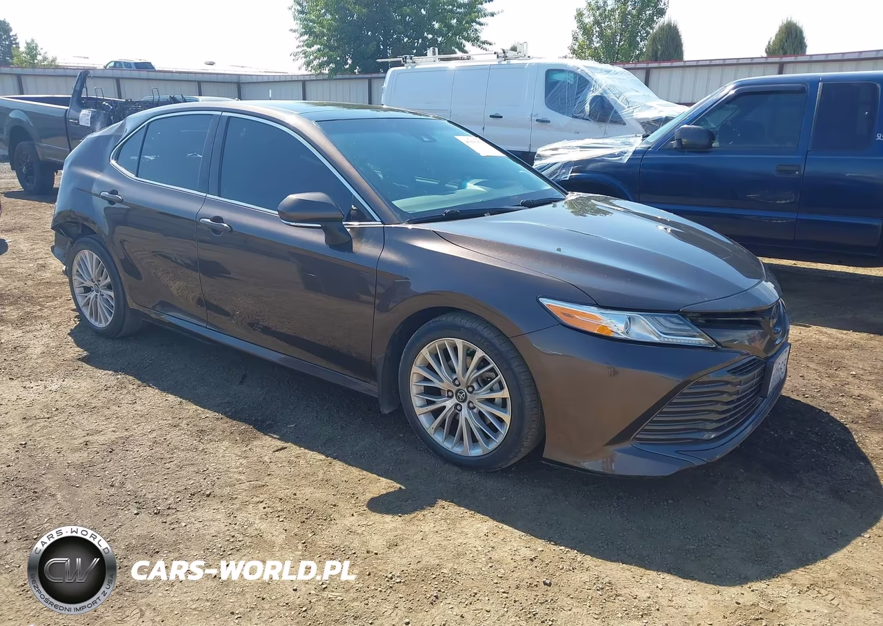 2019 Toyota Camry Xle VIN:4T1B11HK4KU709569 - 1