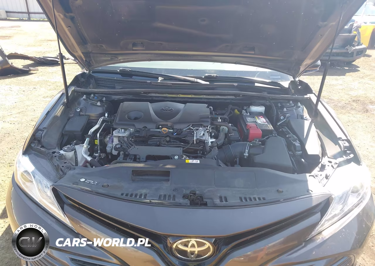2019 Toyota Camry Xle VIN:4T1B11HK4KU709569 - 10