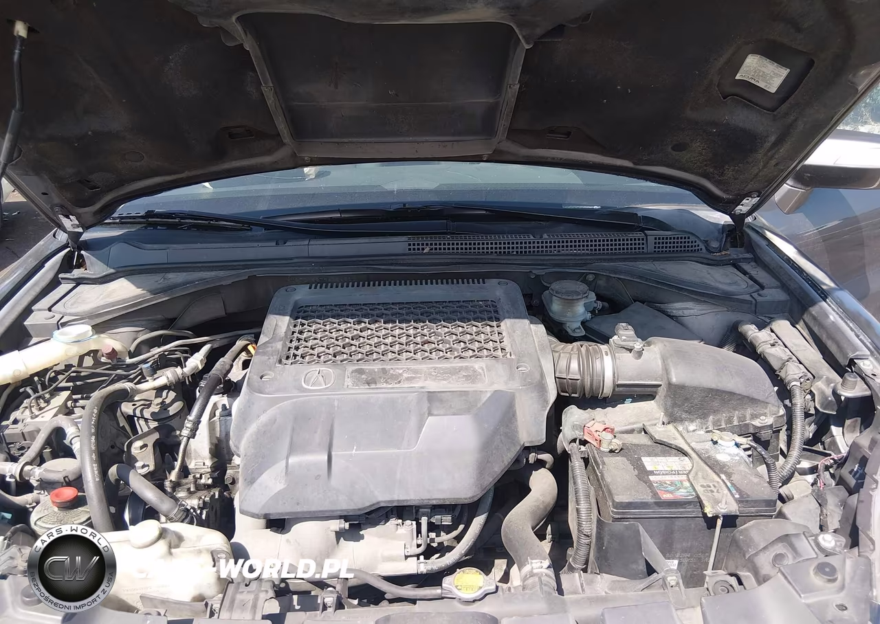 2009 Acura Rdx VIN:5J8TB18279A004526 - 10