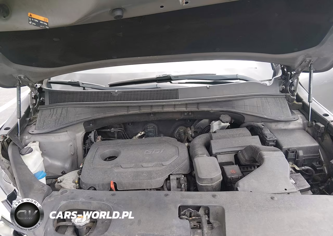 2016 Kia Sorento 2.4L Lx VIN:5XYPGDA31GG032373 - 10