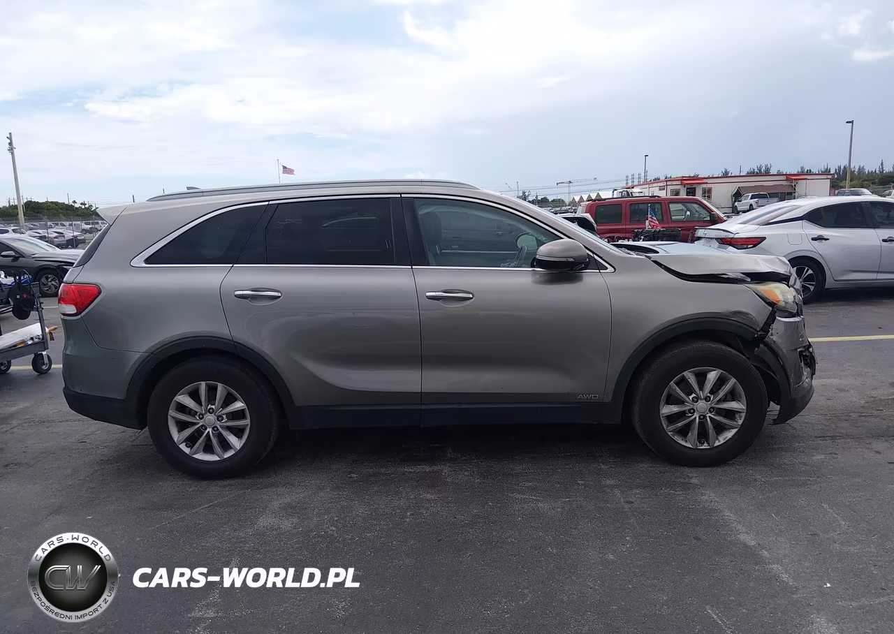 2016 Kia Sorento 2.4L Lx VIN:5XYPGDA31GG032373 - 13