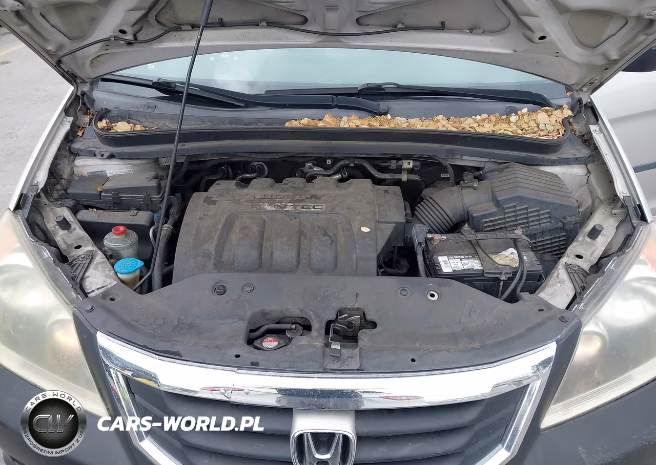 2008 Honda Odyssey Lx VIN:5FNRL38248B037068 - 10