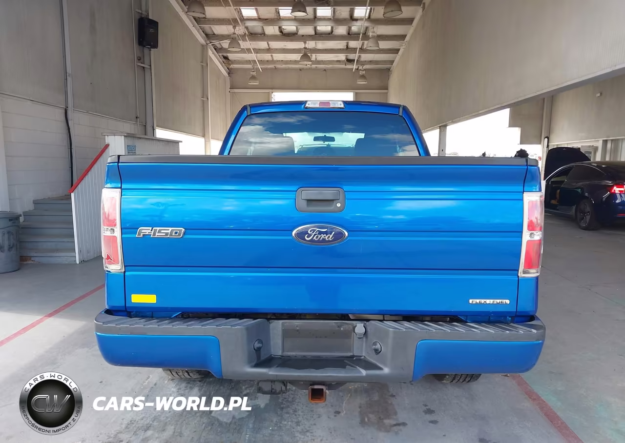 2013 Ford F-150 Stx VIN:1FTFX1CF8DFC77154 - 16