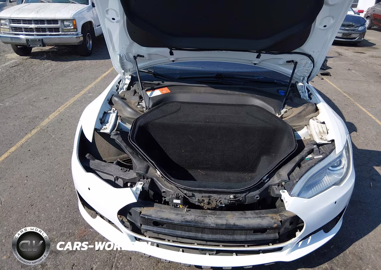 2016 Tesla Model S 60D-70D-75D-85D-90D VIN:5YJSA1E28GF127256 - 10