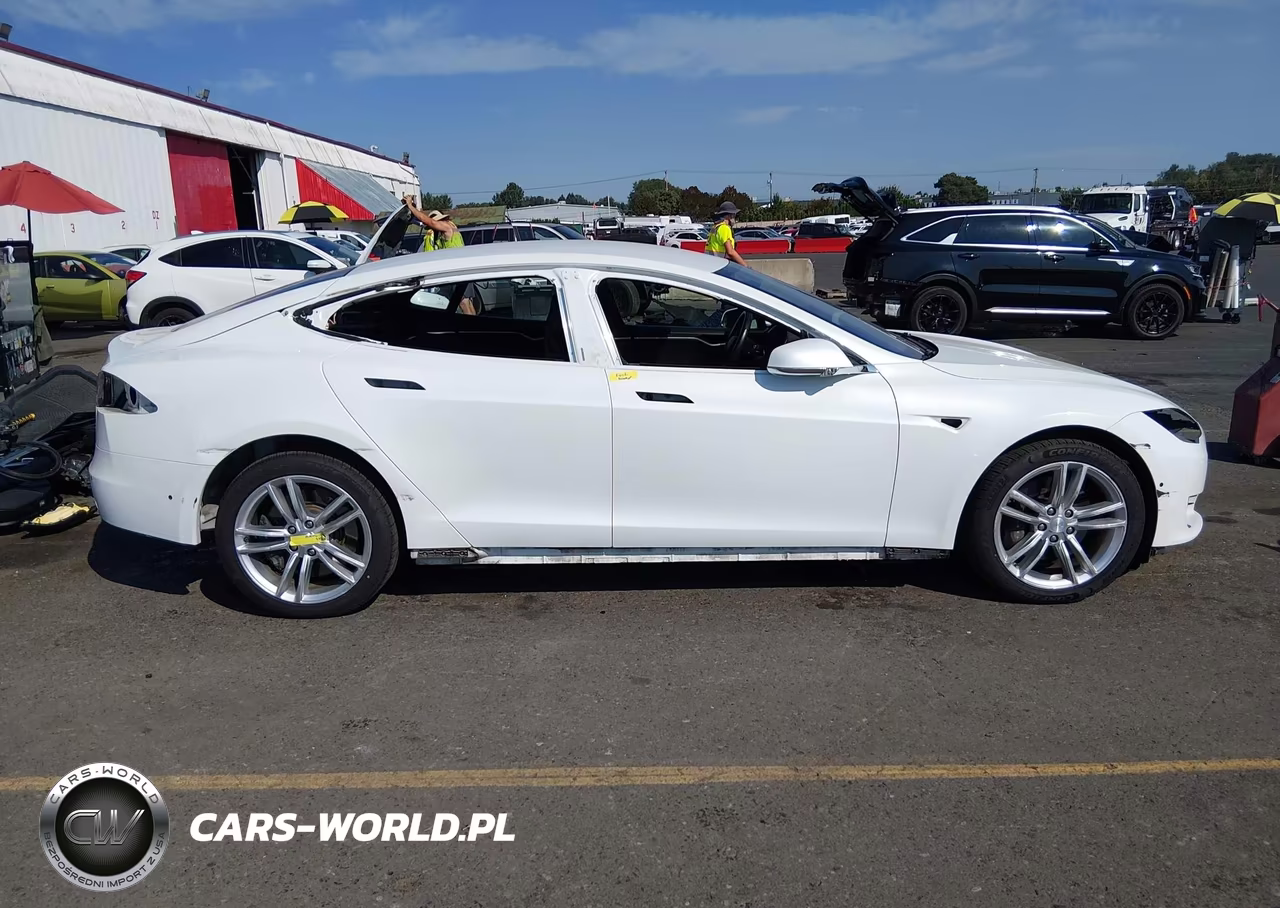 2016 Tesla Model S 60D-70D-75D-85D-90D VIN:5YJSA1E28GF127256 - 14