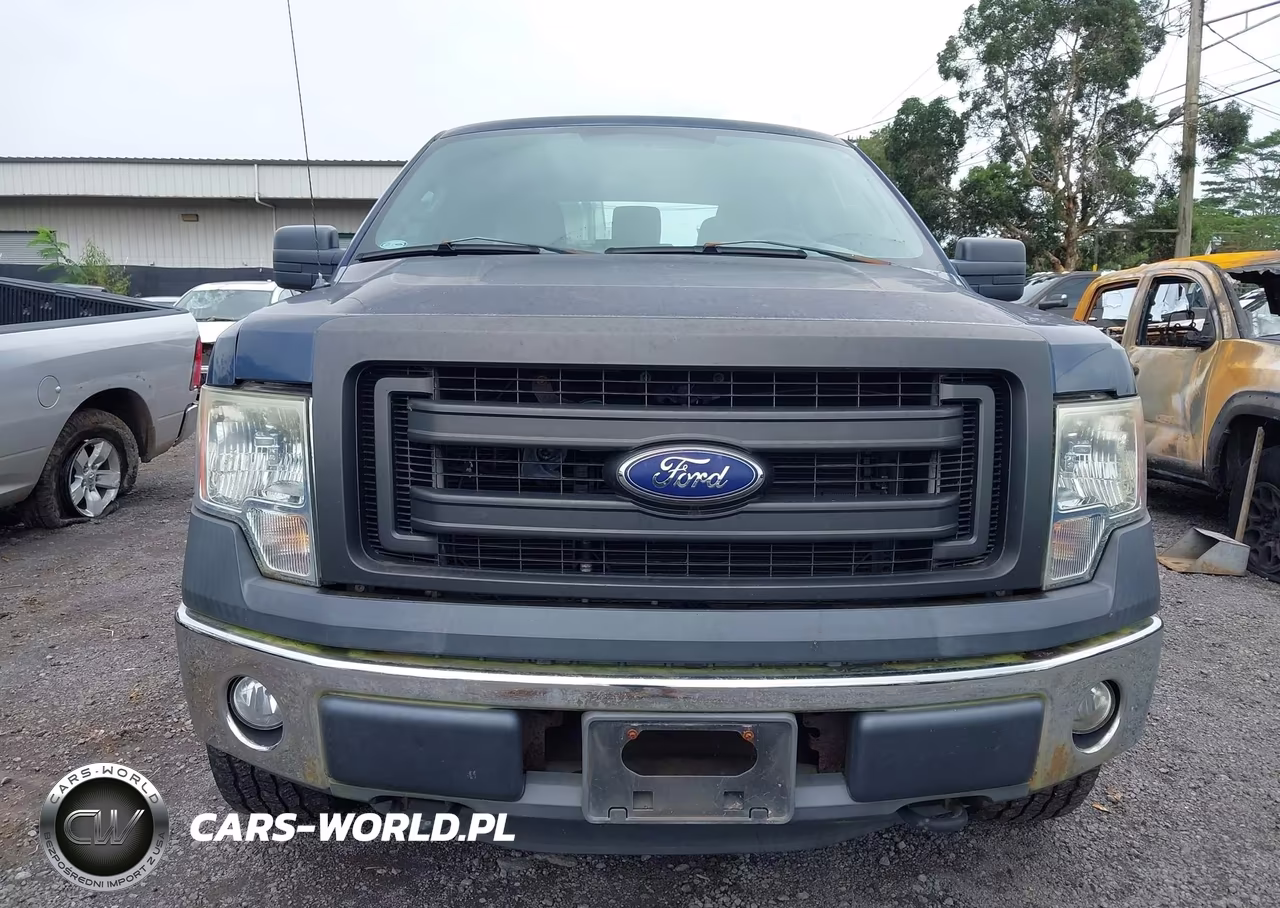 2013 Ford F-150 Xl VIN:1FTFW1EF1DKF32718 - 12