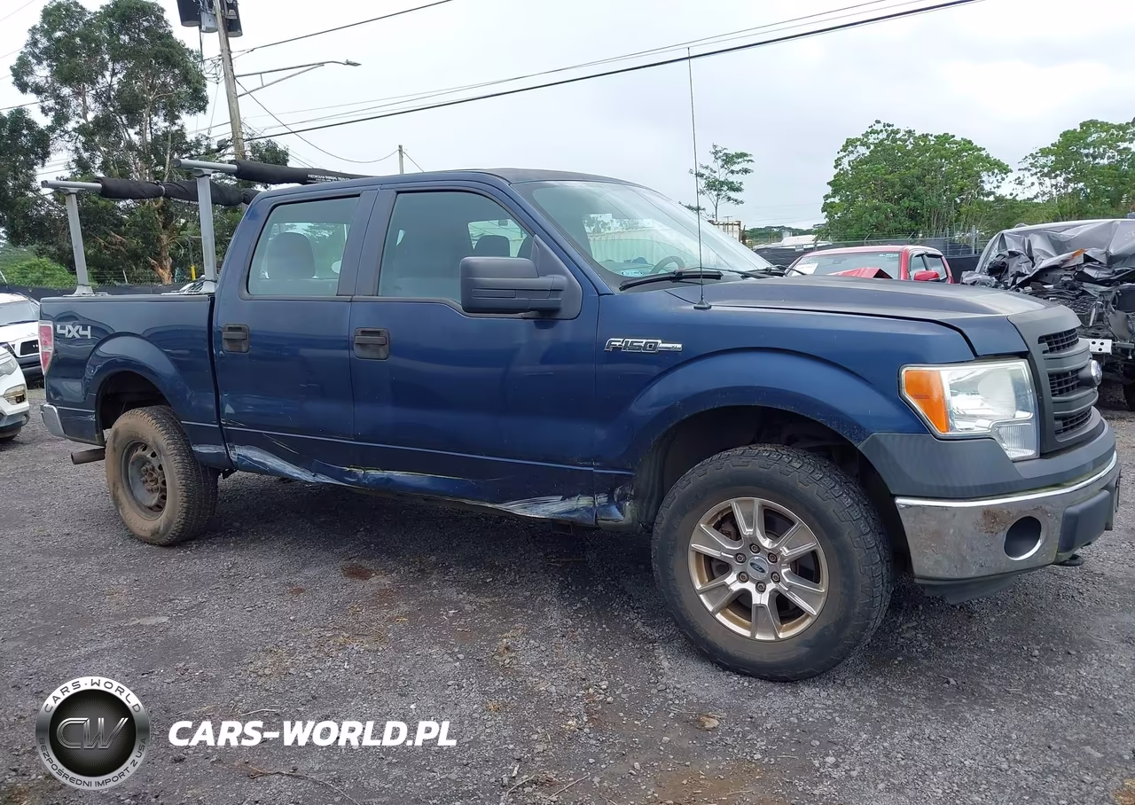 2013 Ford F-150 Xl VIN:1FTFW1EF1DKF32718 - 13