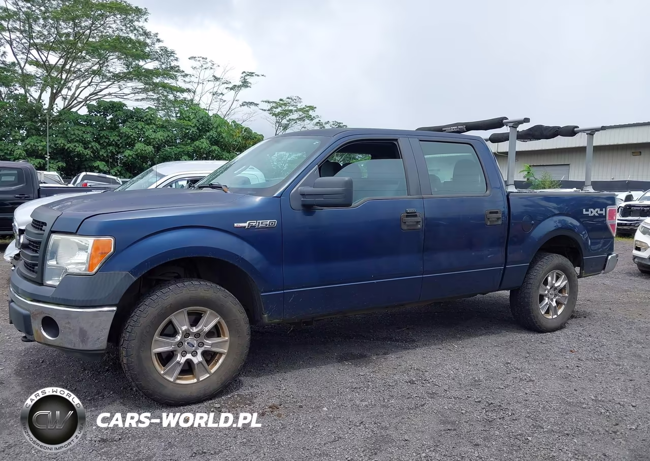 2013 Ford F-150 Xl VIN:1FTFW1EF1DKF32718 - 14