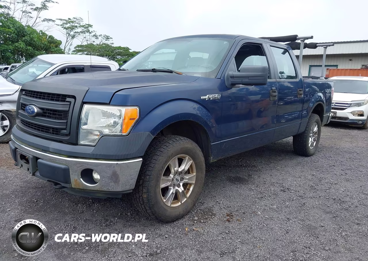 2013 Ford F-150 Xl VIN:1FTFW1EF1DKF32718 - 2