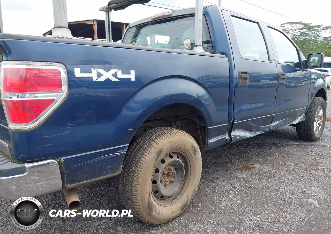2013 Ford F-150 Xl VIN:1FTFW1EF1DKF32718 - 6