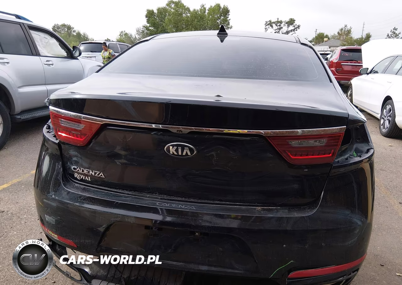 2017 Kia Cadenza Premium VIN:KNALB4J16H5094130 - 17