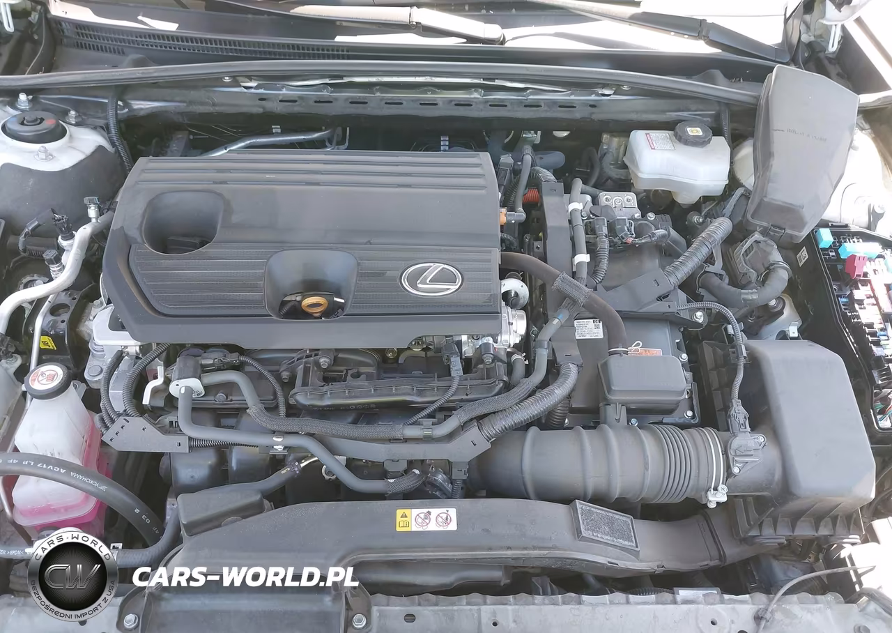 2023 Lexus Es 300H Luxury VIN:58AEA1C10PU030510 - 10
