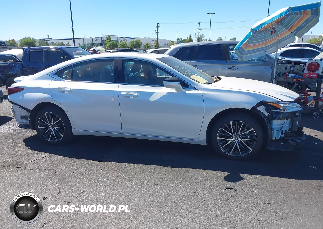 2023 Lexus Es 300H Luxury VIN:58AEA1C10PU030510 - 14
