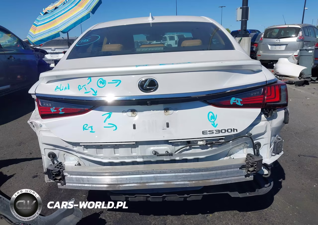 2023 Lexus Es 300H Luxury VIN:58AEA1C10PU030510 - 17