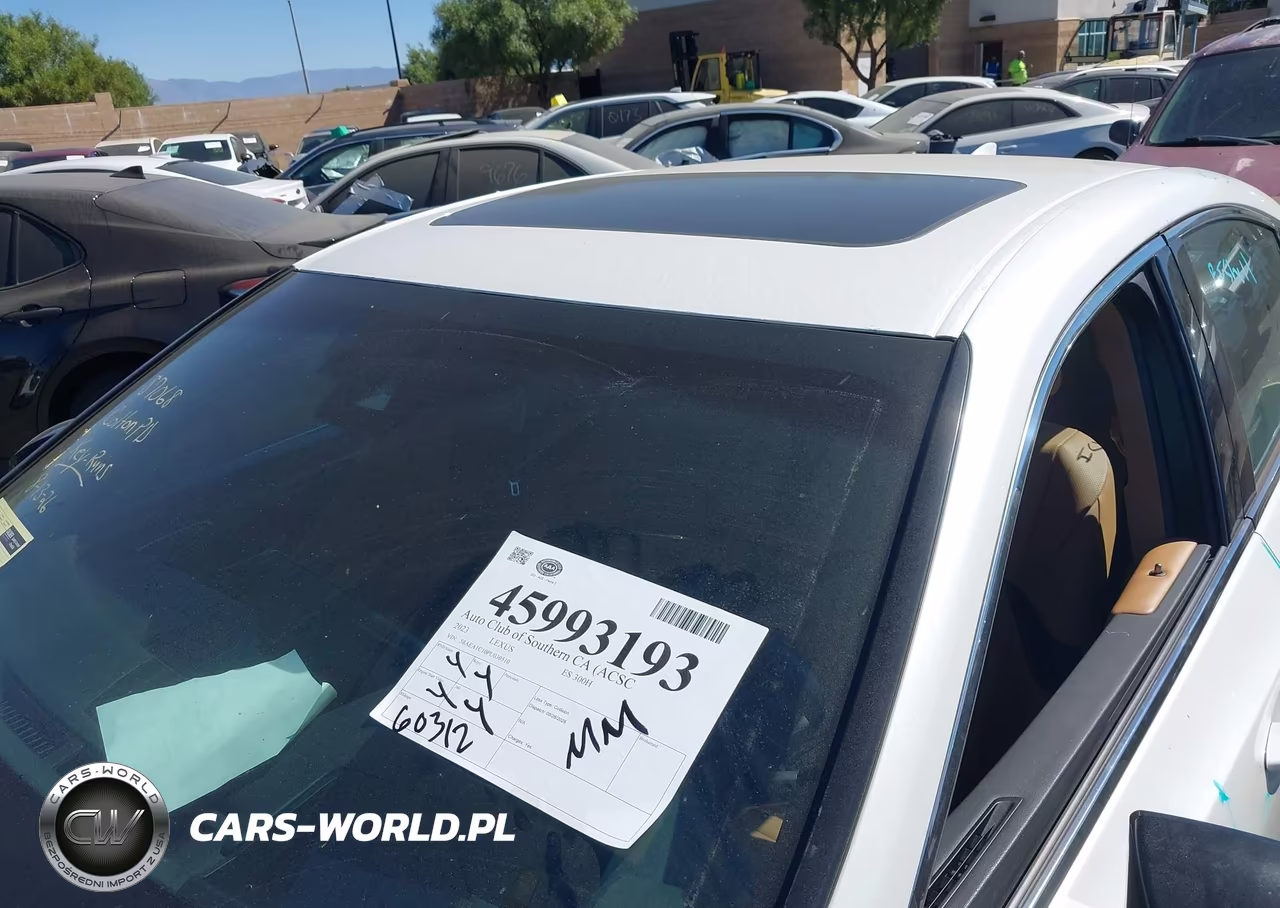 2023 Lexus Es 300H Luxury VIN:58AEA1C10PU030510 - 18