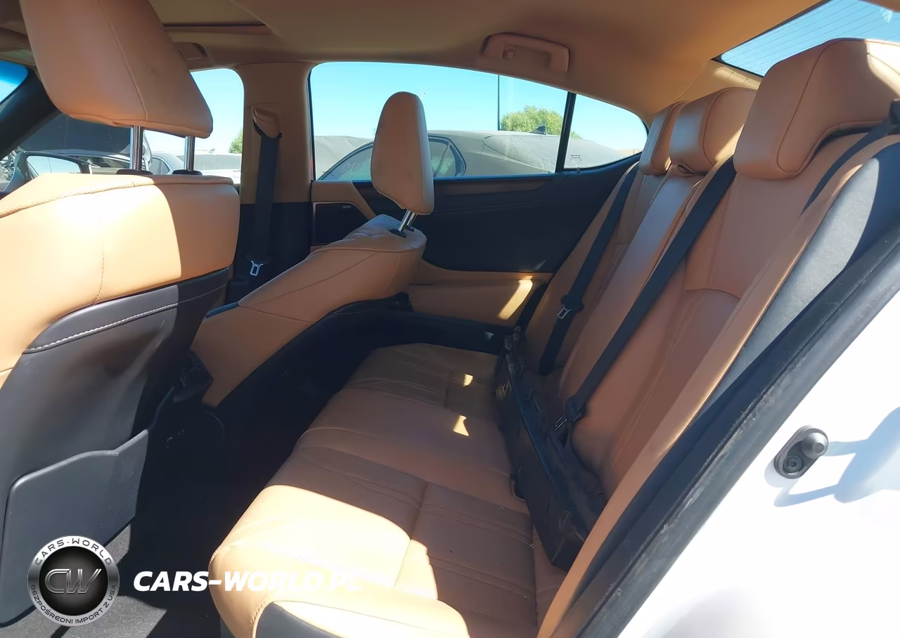 2023 Lexus Es 300H Luxury VIN:58AEA1C10PU030510 - 8