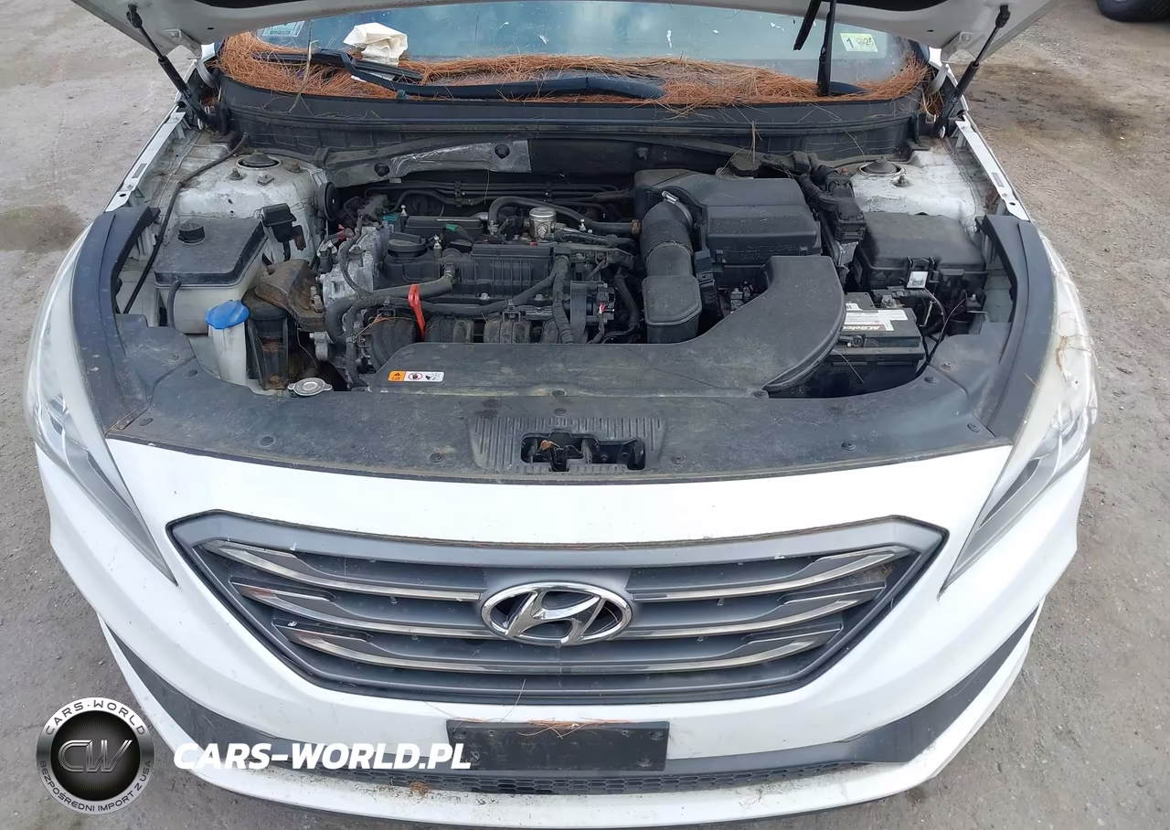 2016 Hyundai Sonata Sport VIN:5NPE34AF9GH299573 - 10