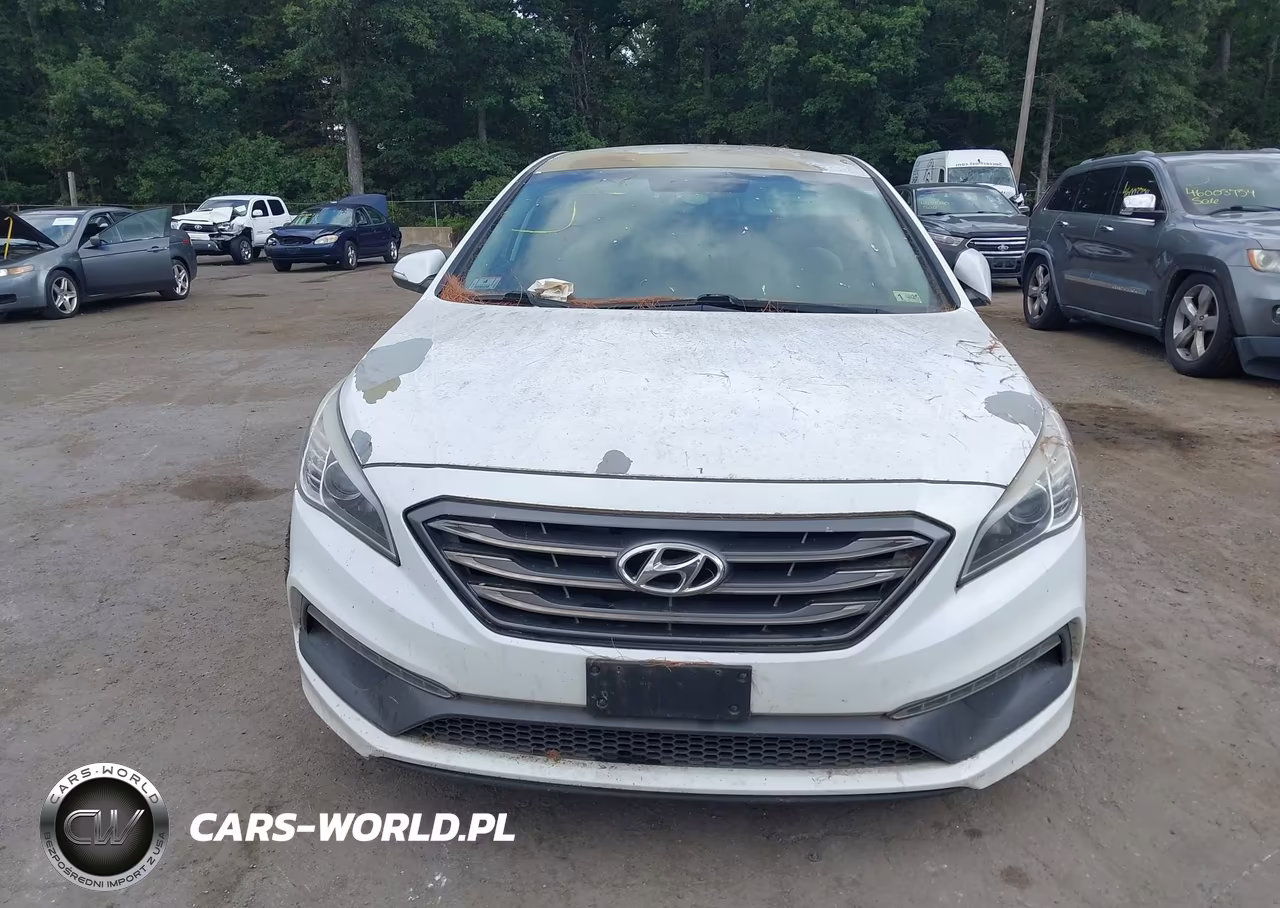 2016 Hyundai Sonata Sport VIN:5NPE34AF9GH299573 - 12