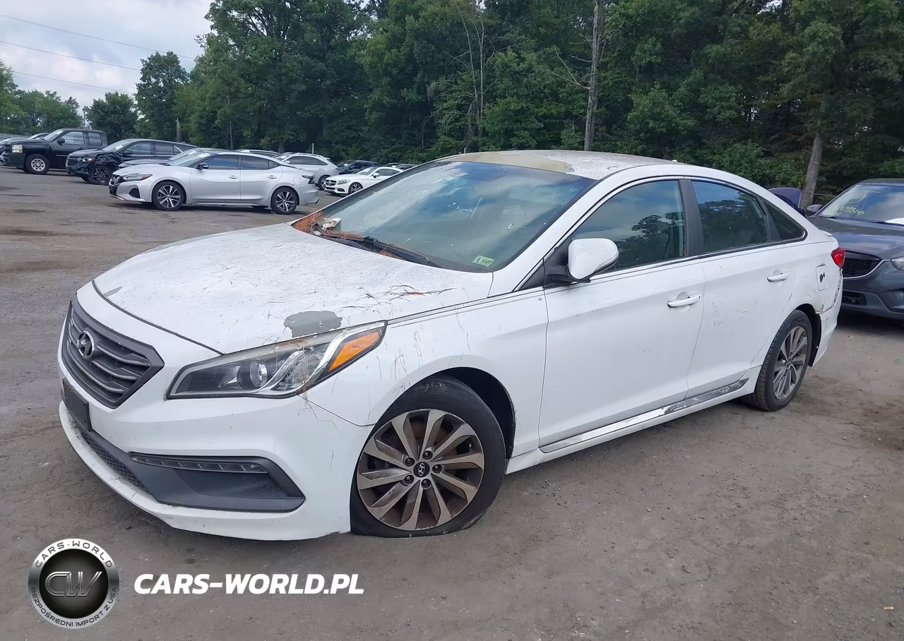2016 Hyundai Sonata Sport VIN:5NPE34AF9GH299573 - 2