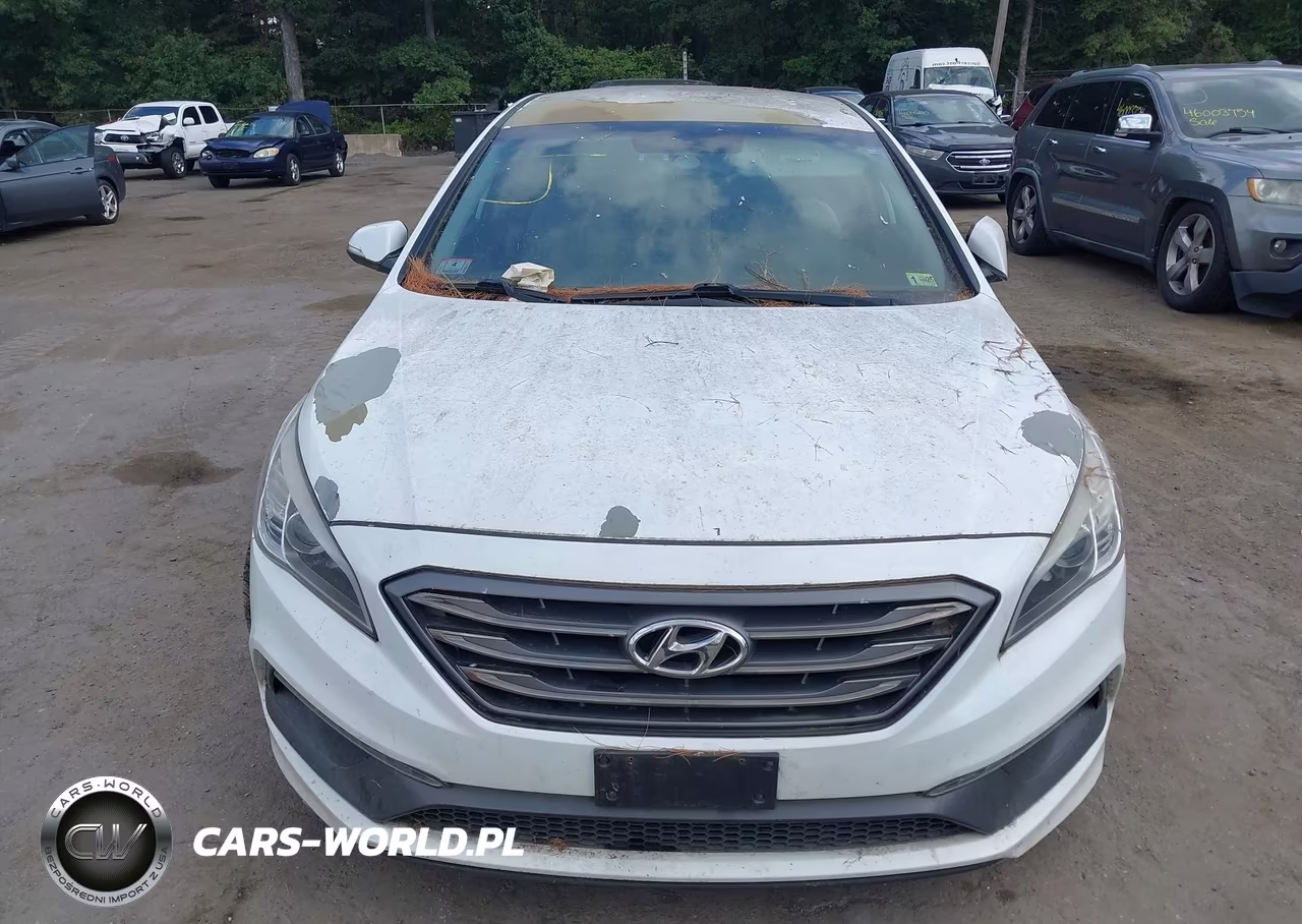 2016 Hyundai Sonata Sport VIN:5NPE34AF9GH299573 - 6