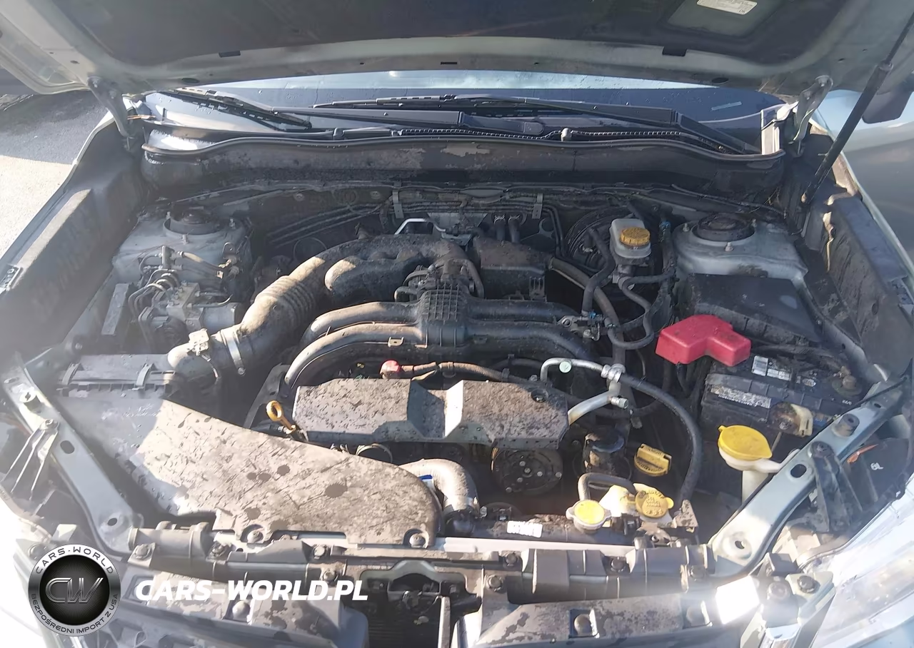 2016 Subaru Forester 2.5I Touring VIN:JF2SJAXC2GH558084 - 10