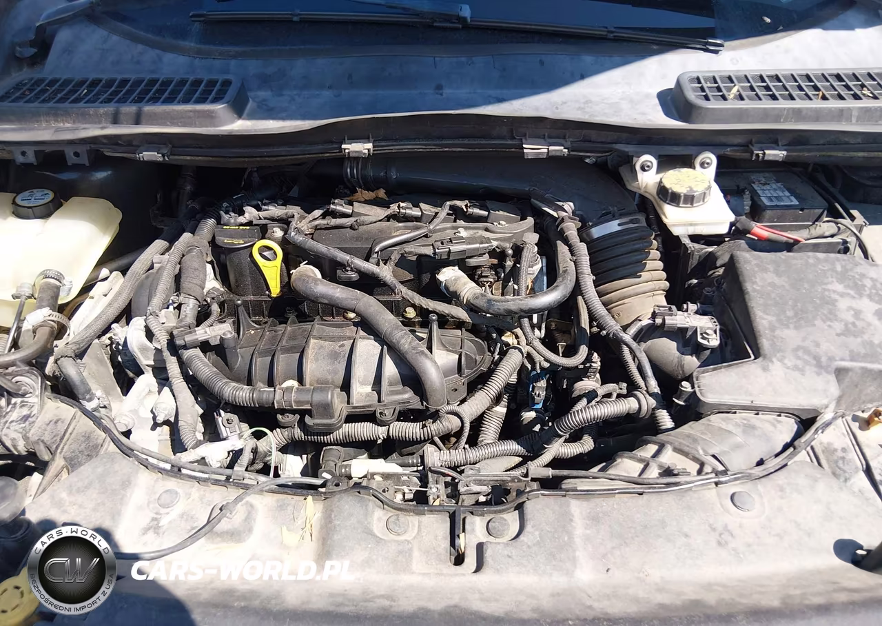 2013 Ford Escape Se VIN:1FMCU0GX1DUD17641 - 10