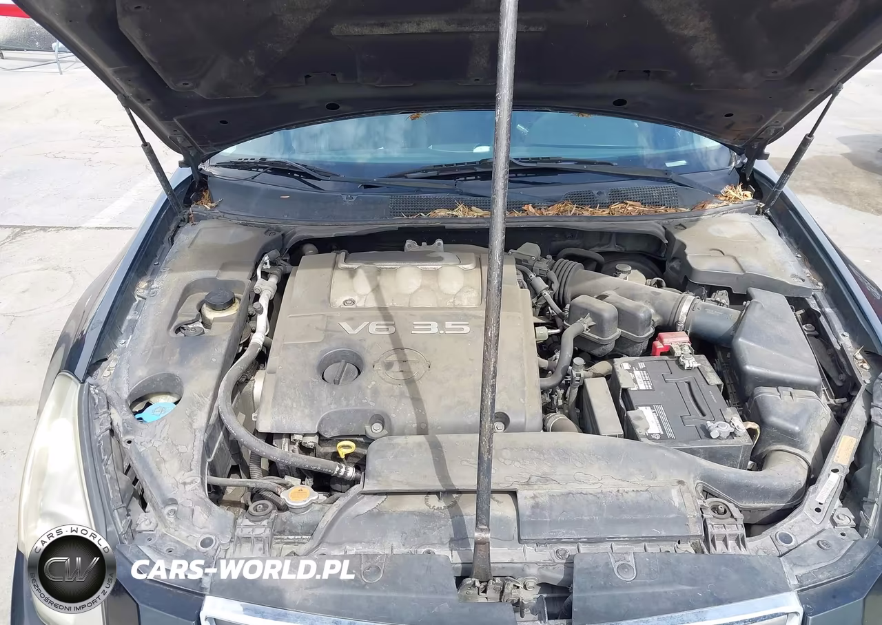 2007 Nissan Maxima 3.5 Se VIN:1N4BA41E97C833849 - 10