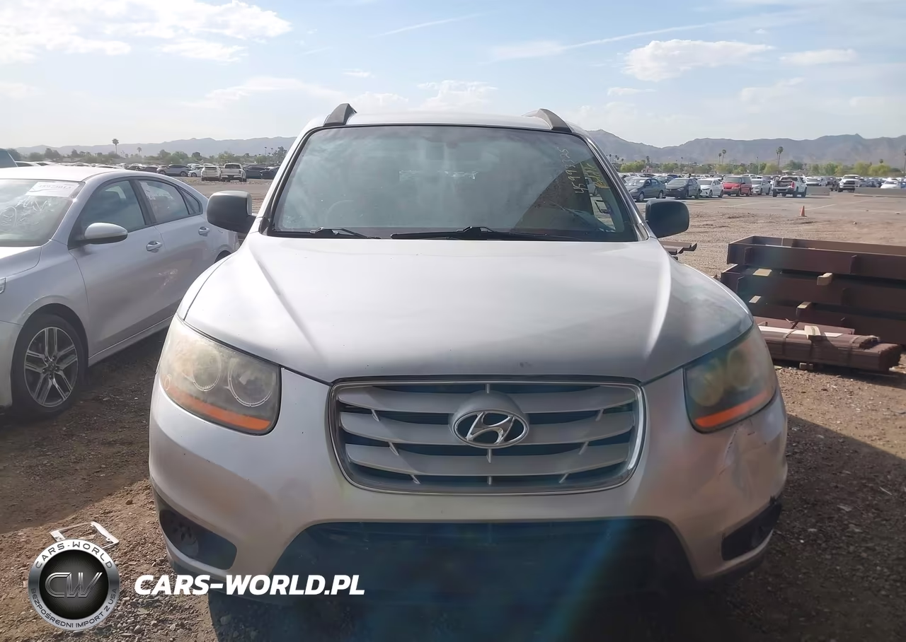 2010 Hyundai Santa Fe Gls VIN:5NMSG3AB8AH357157 - 6