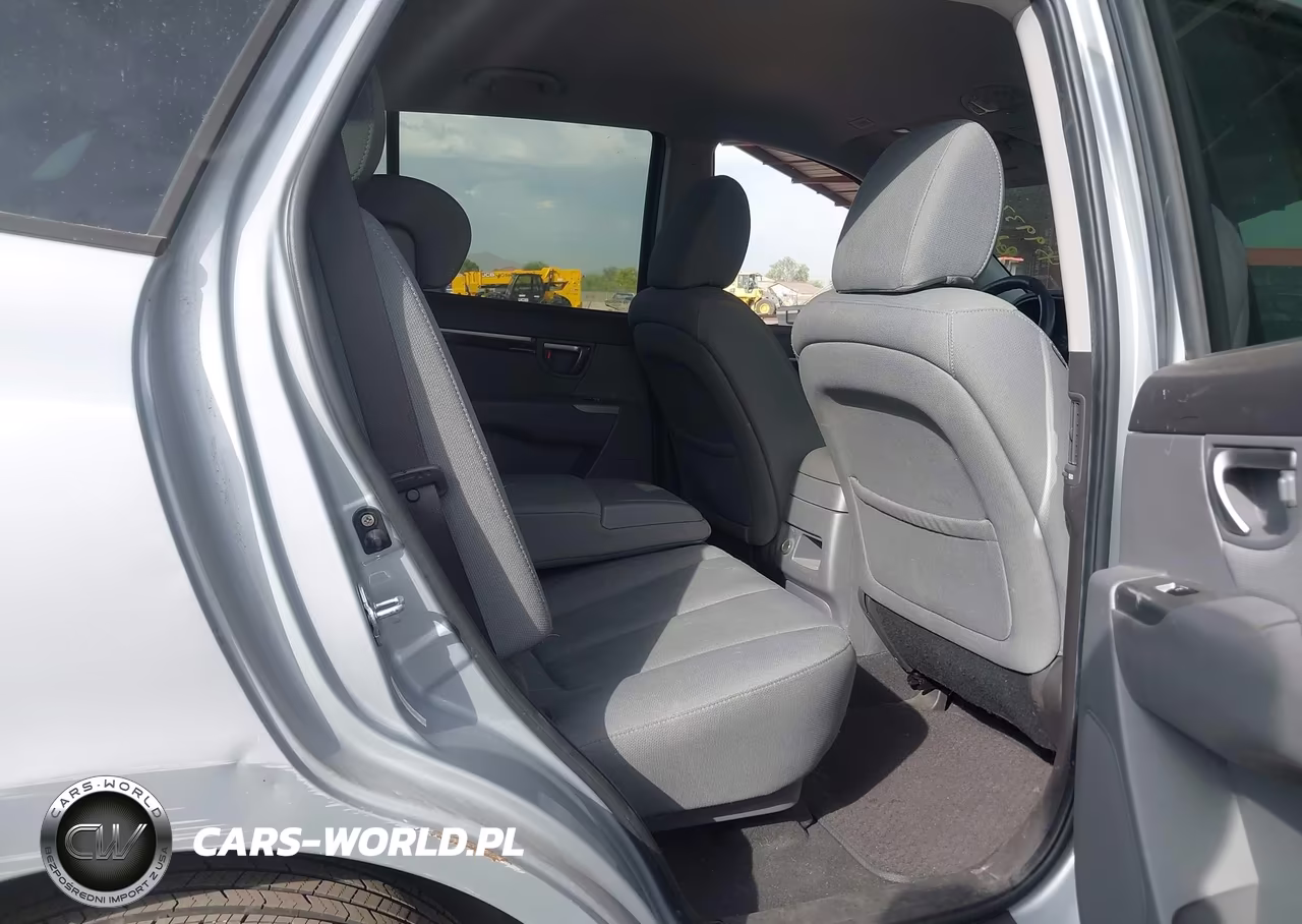 2010 Hyundai Santa Fe Gls VIN:5NMSG3AB8AH357157 - 8