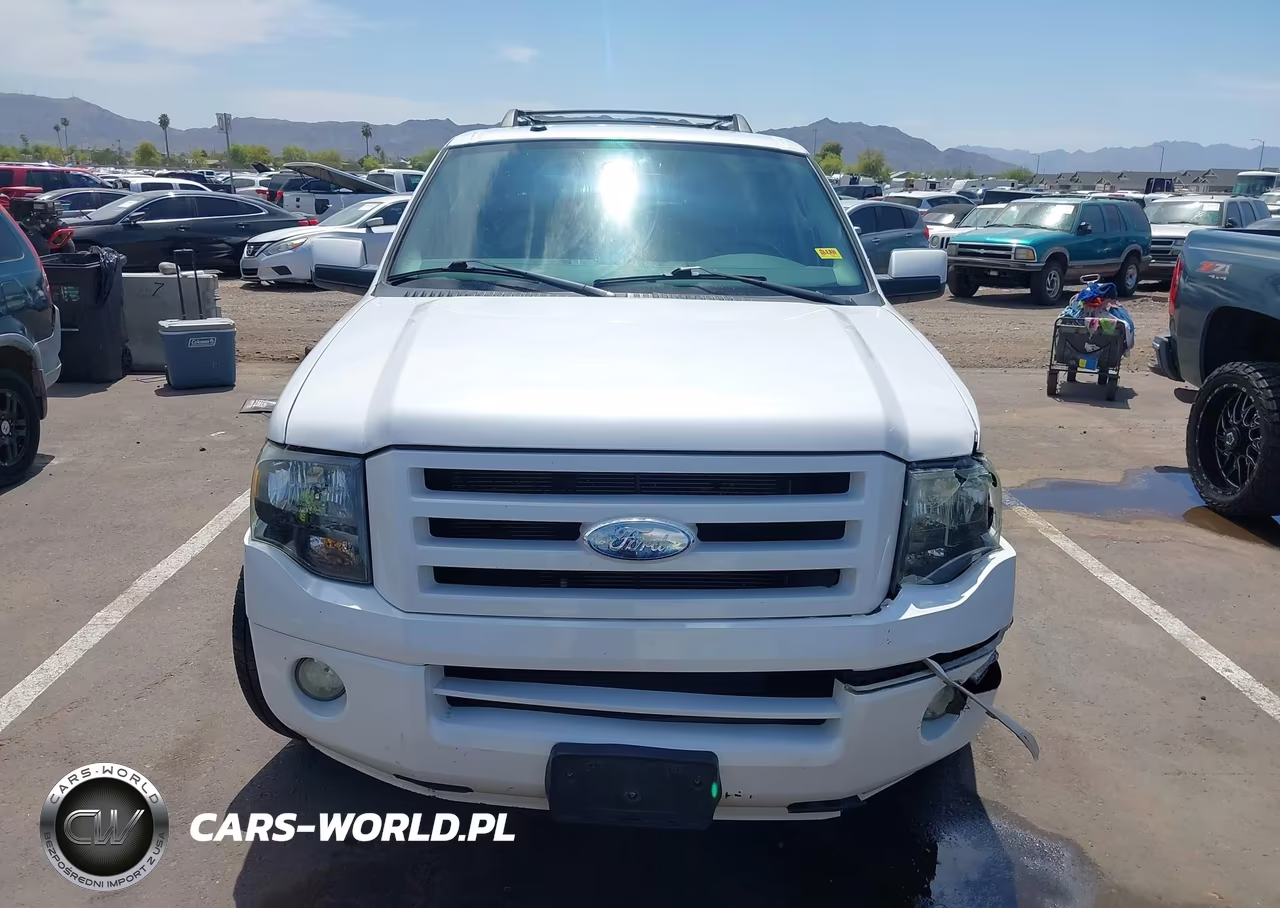 2010 Ford Expedition Limited VIN:1FMJU1K51AEA17901 - 12