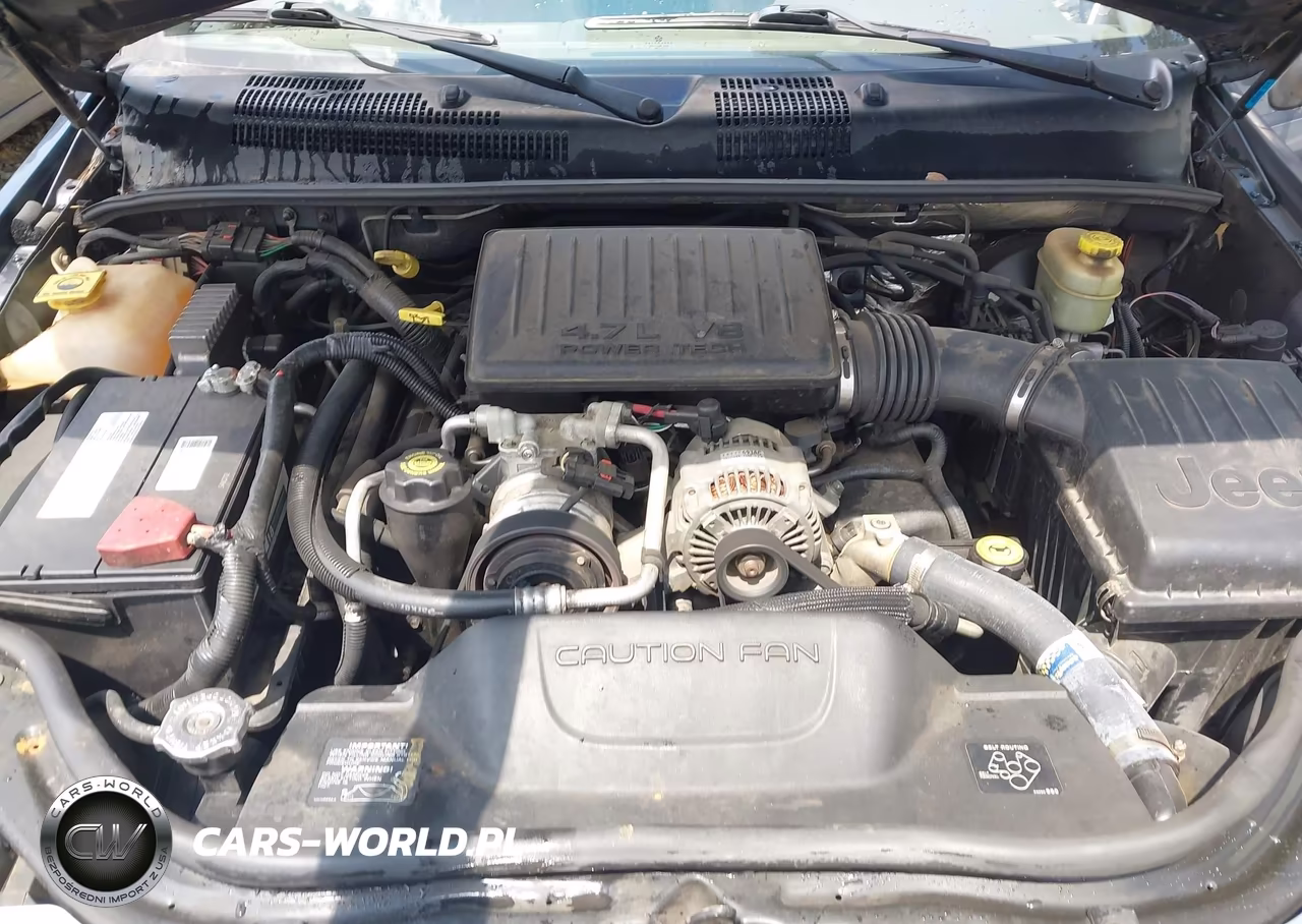 2004 Jeep Grand Cherokee Limited VIN:1J8GX58N04C326689 - 10