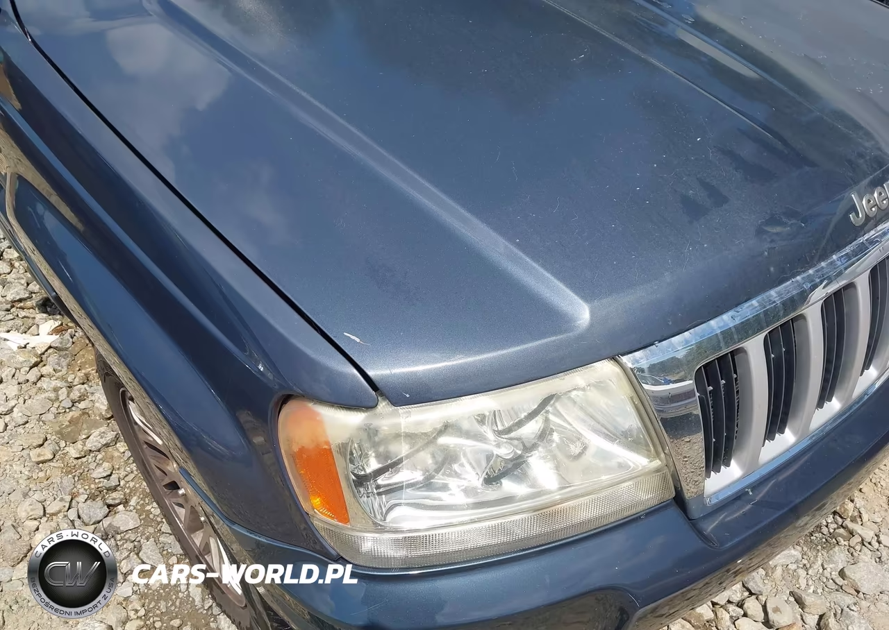 2004 Jeep Grand Cherokee Limited VIN:1J8GX58N04C326689 - 14