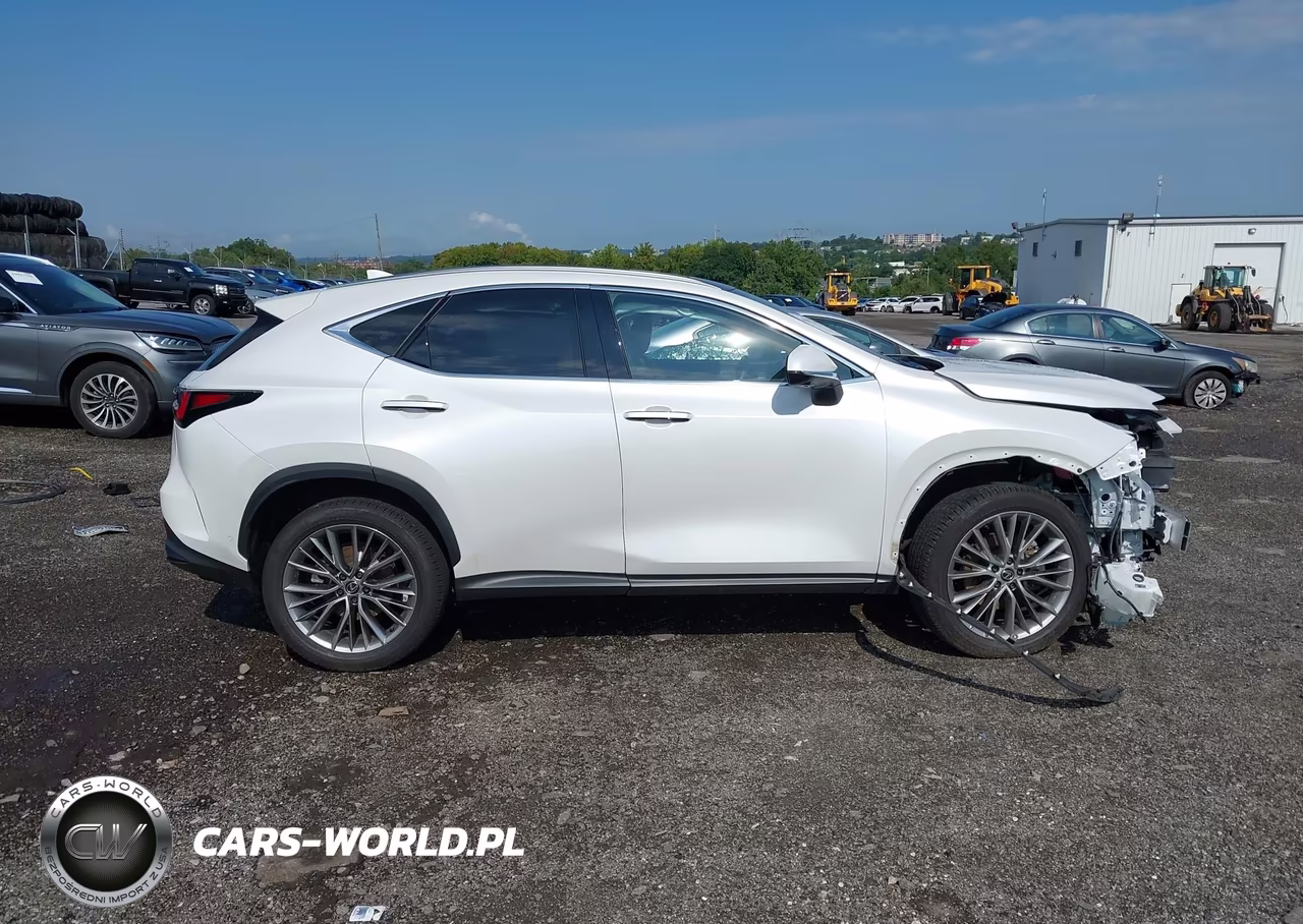 2024 Lexus Nx 350H Luxury VIN:JTJHKCEZ1R5010104 - 12