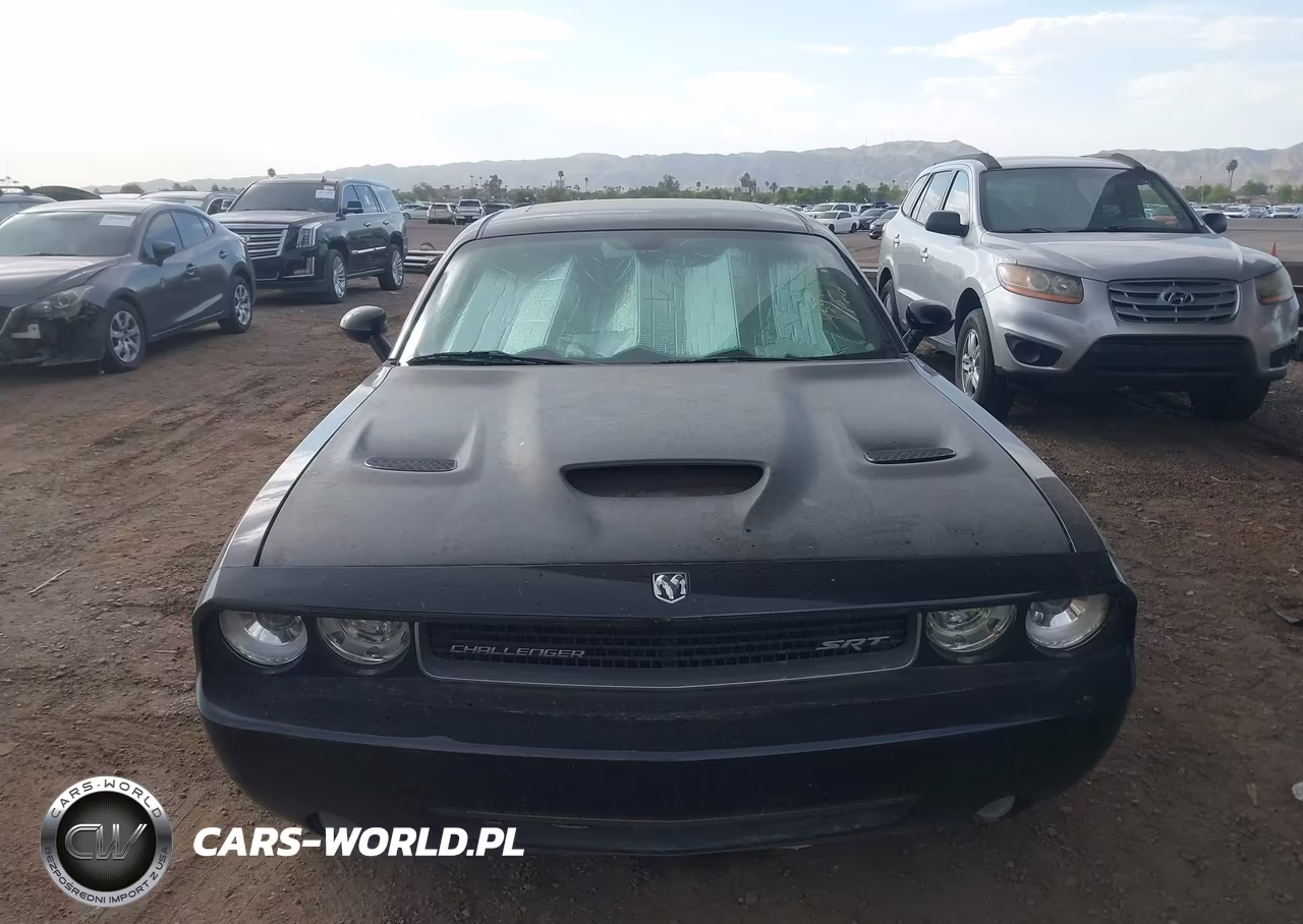 2009 Dodge Challenger Srt8 VIN:2B3LJ74W39H545508 - 12