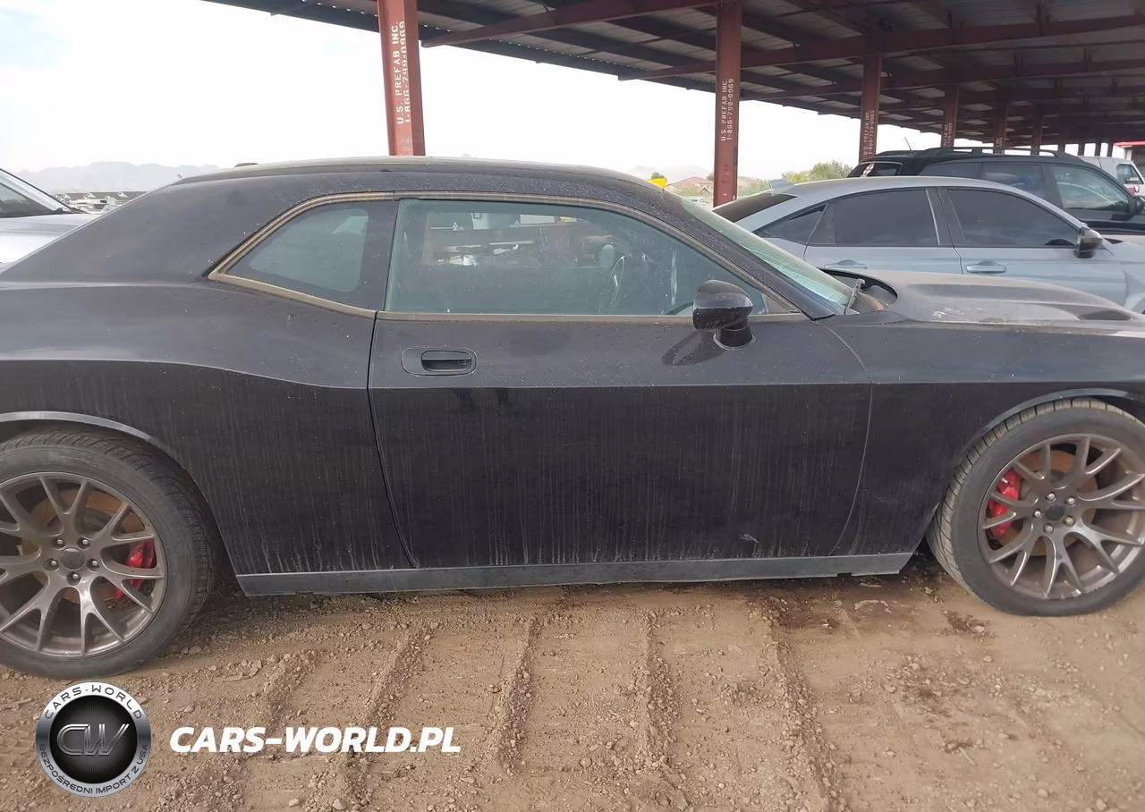 2009 Dodge Challenger Srt8 VIN:2B3LJ74W39H545508 - 13
