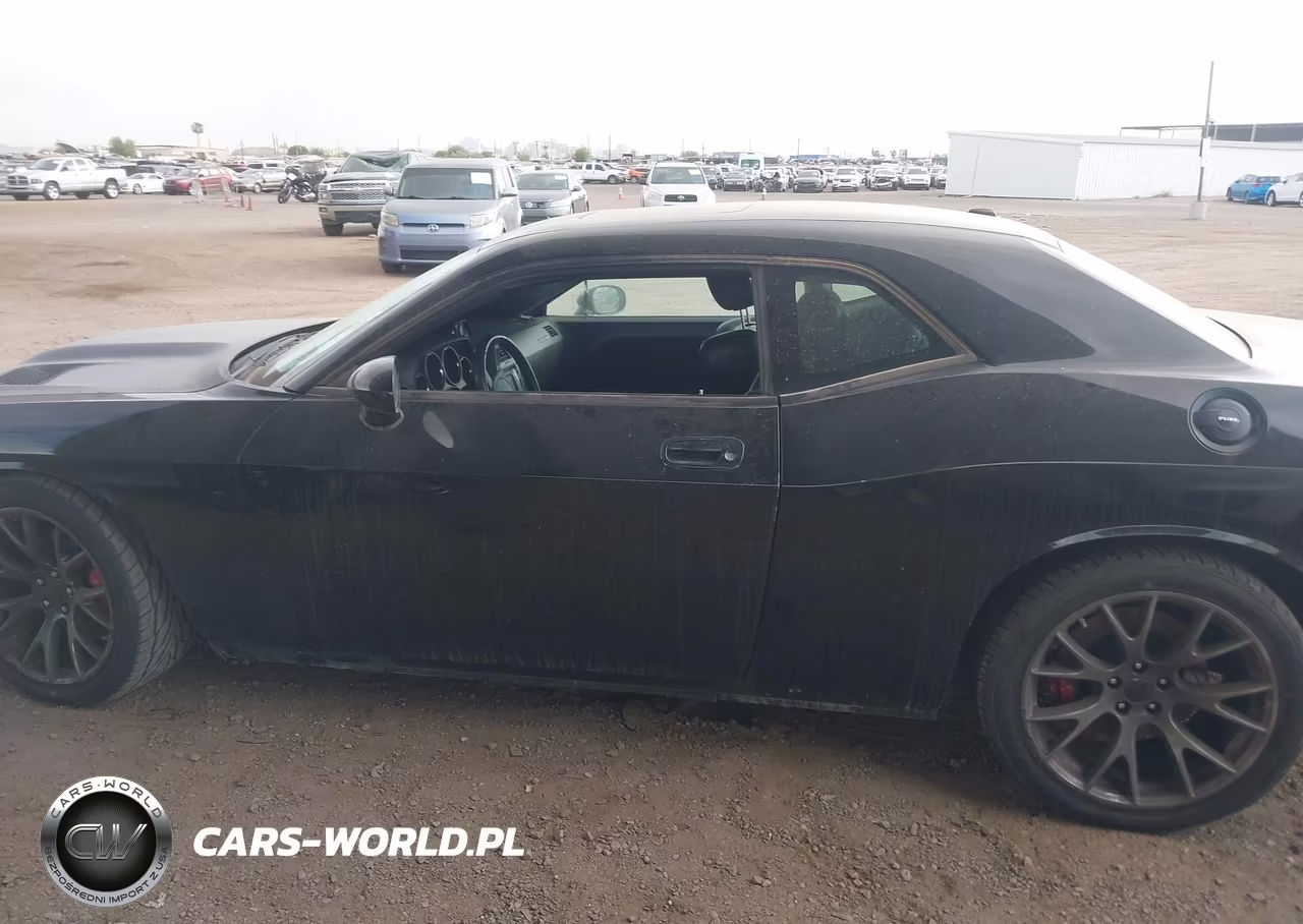 2009 Dodge Challenger Srt8 VIN:2B3LJ74W39H545508 - 14