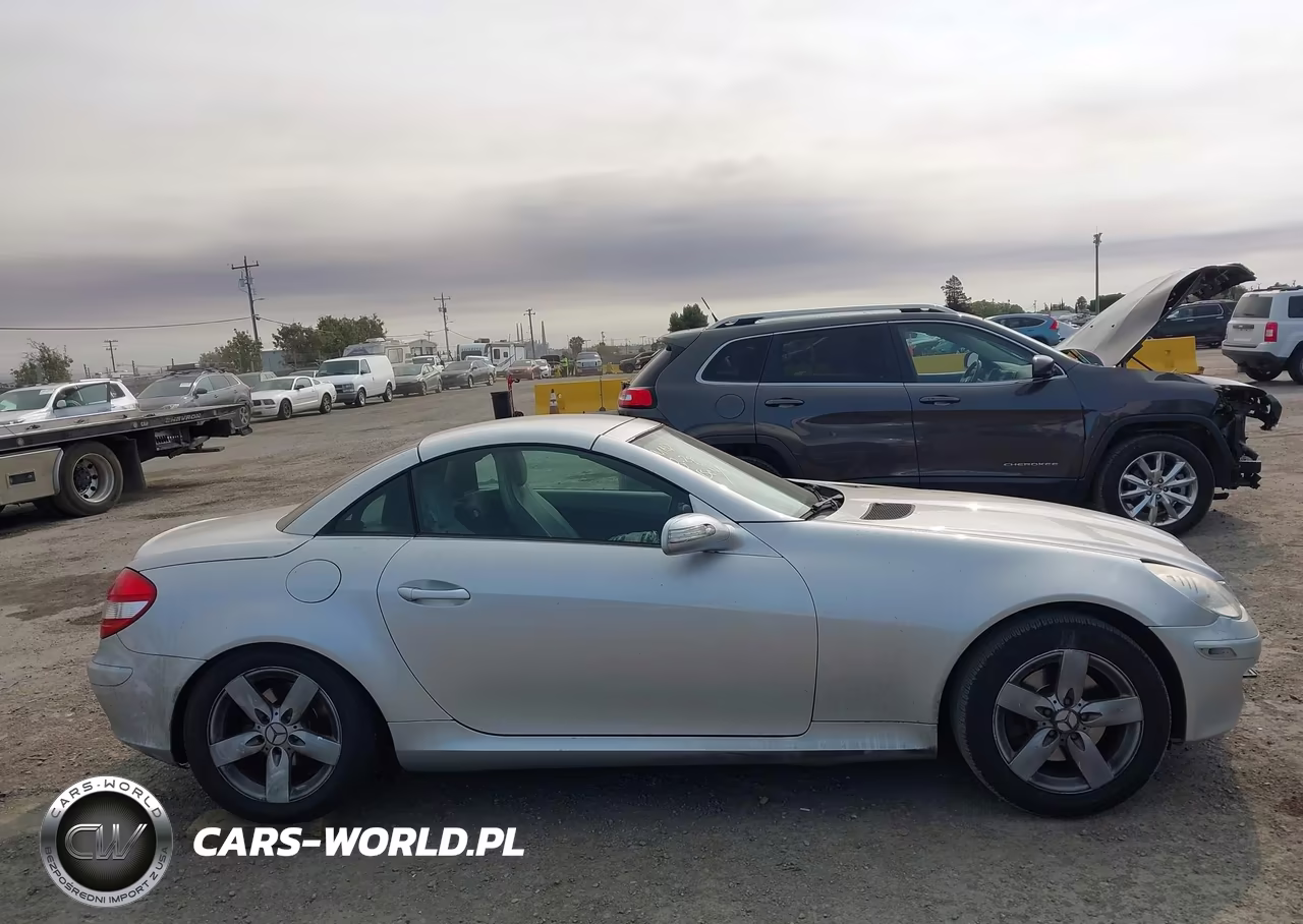 2007 Mercedes-Benz Slk 280 VIN:WDBWK54F17F156599 - 12