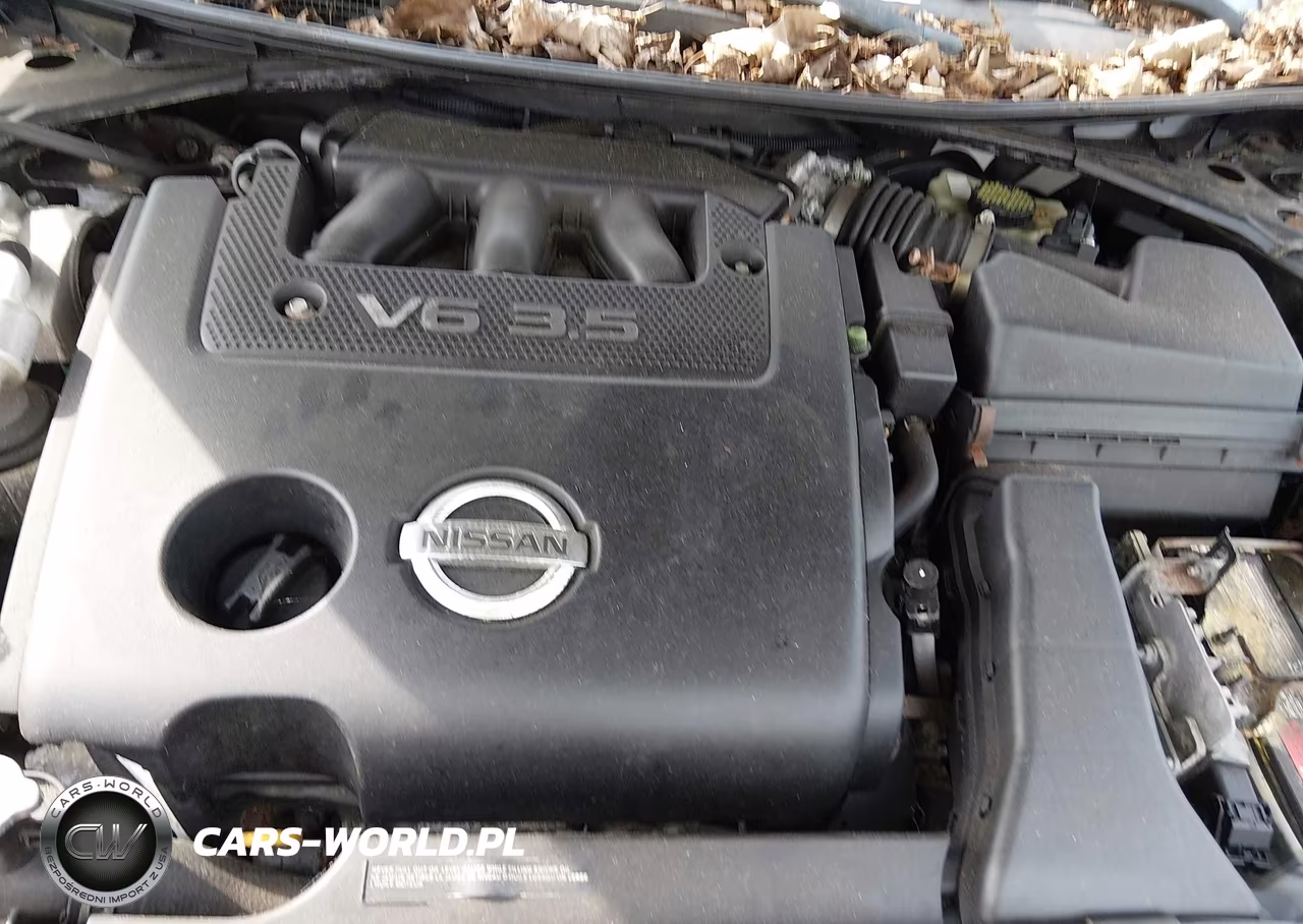 2014 Nissan Altima 3.5 Sl VIN:1N4BL3AP0EC416655 - 10