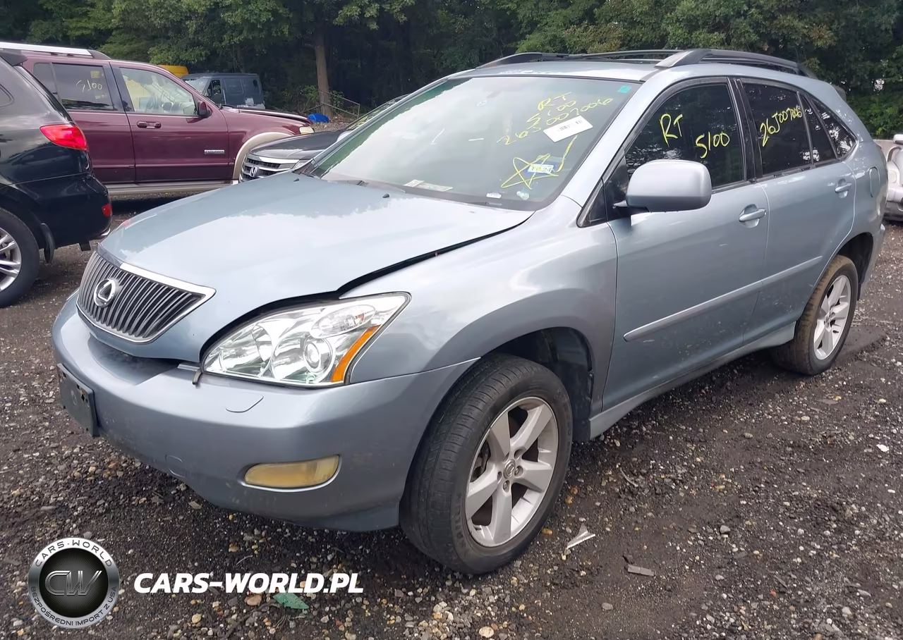 2004 Lexus Rx 330 VIN:2T2HA31U54C004393 - 2