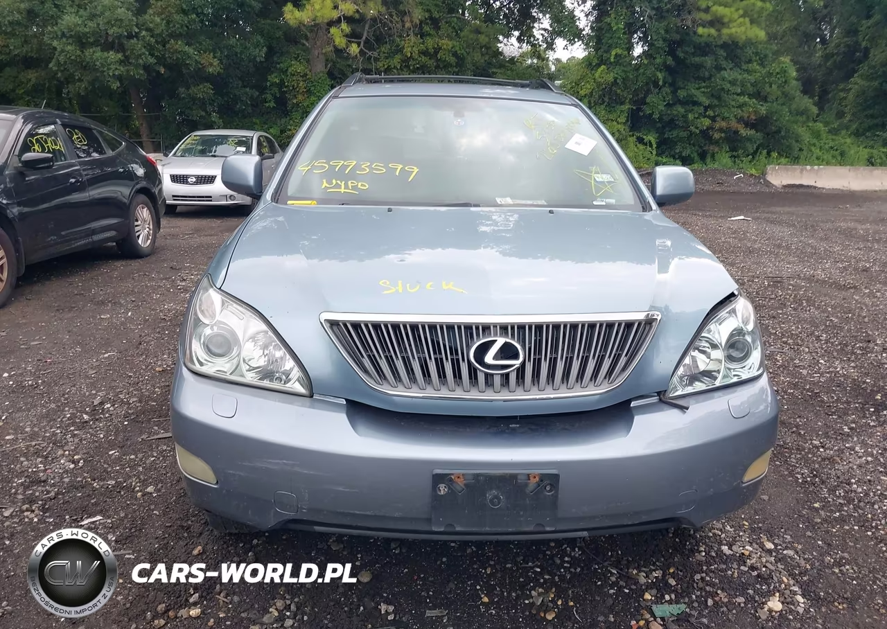 2004 Lexus Rx 330 VIN:2T2HA31U54C004393 - 6